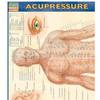 Acupressure Chart